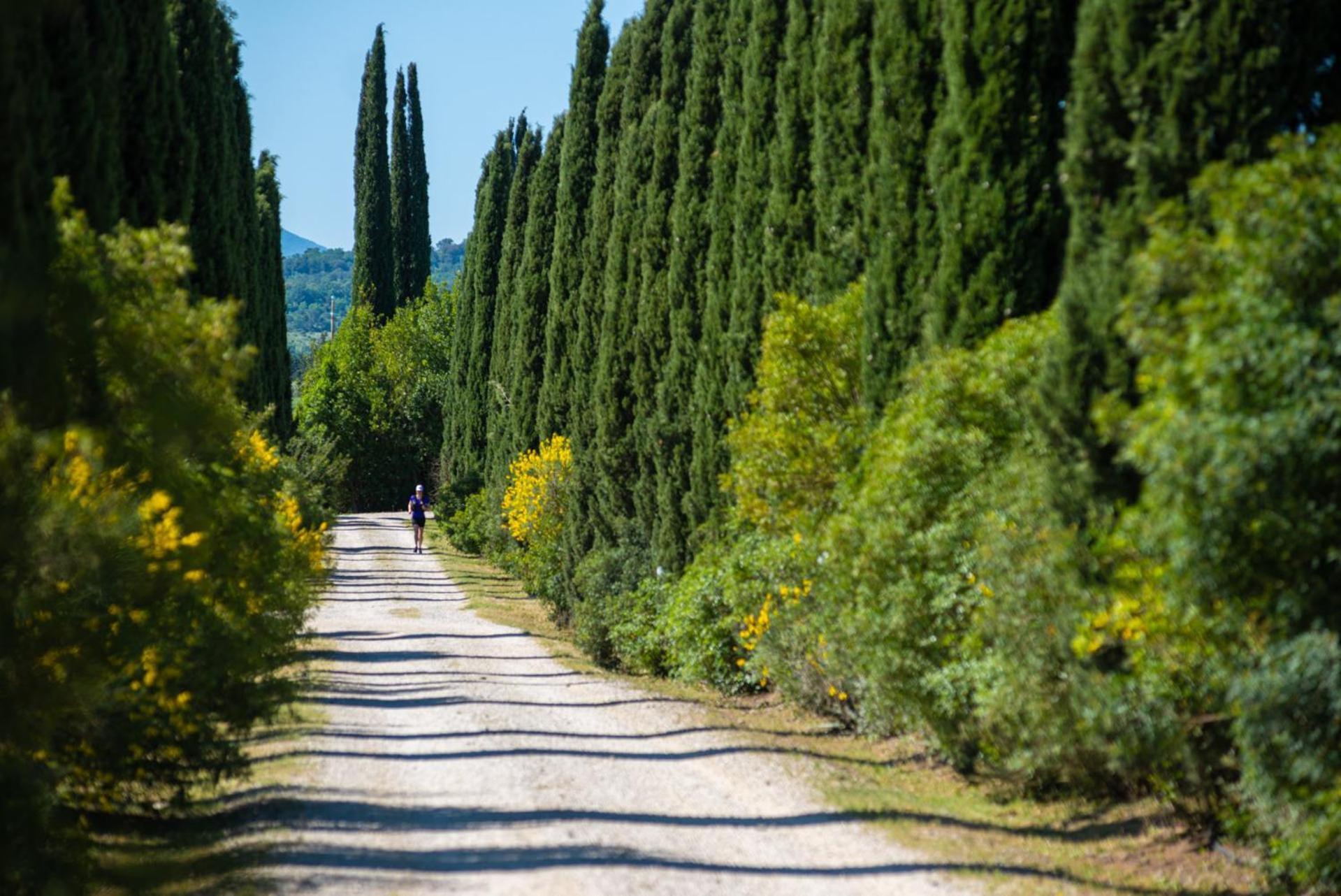 Tenuta Il Cicalino Massa Marittima Exterior photo